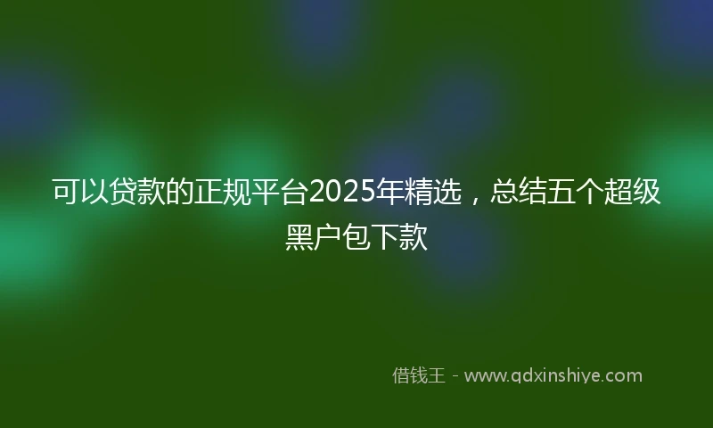 可以贷款的正规平台2025年精选，总结五个超级黑户包下款