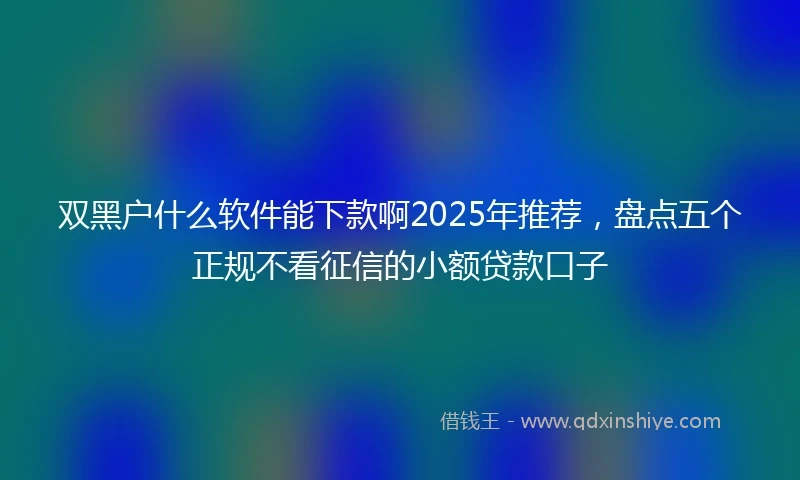 双黑户什么软件能下款啊2025年推荐，盘点五个正规不看征信的小额贷款口子