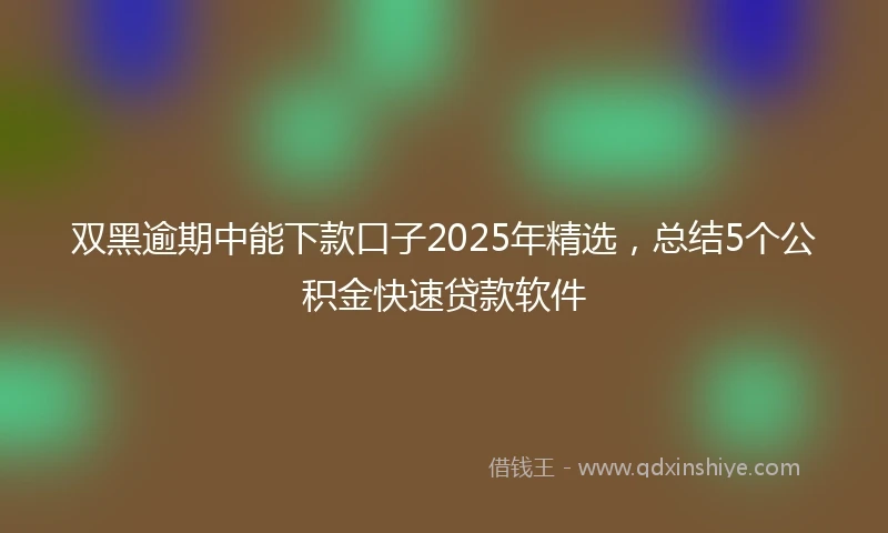 双黑逾期中能下款口子2025年精选，总结5个公积金快速贷款软件