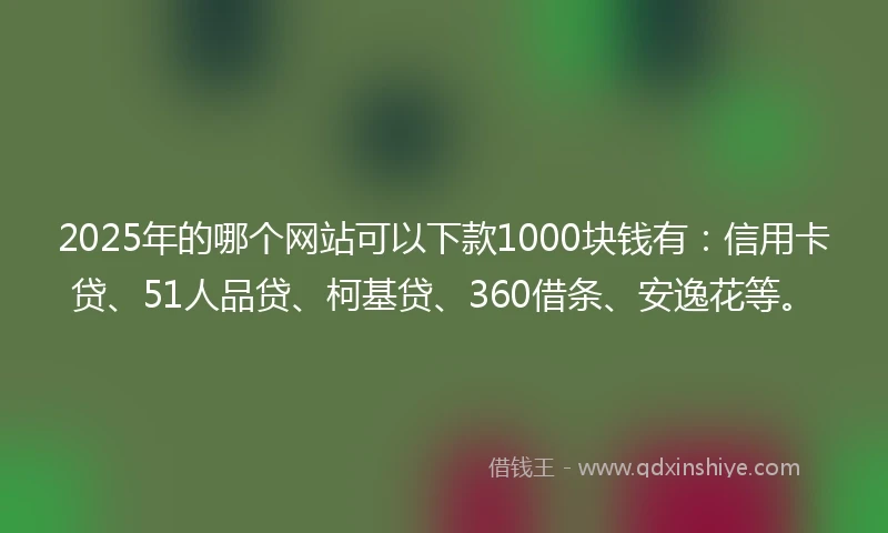 2025年的哪个网站可以下款1000块钱有：信用卡贷、51人品贷、柯基贷、360借条、安逸花等。