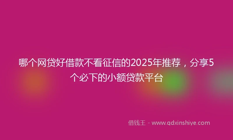 哪个网贷好借款不看征信的2025年推荐，分享5个必下的小额贷款平台