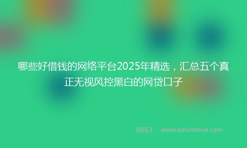 哪些好借钱的网络平台2025年精选,汇总五个真正无视风控黑白的网贷口子