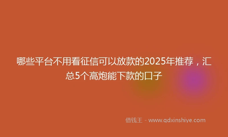 哪些平台不用看征信可以放款的2025年推荐，汇总5个高炮能下款的口子
