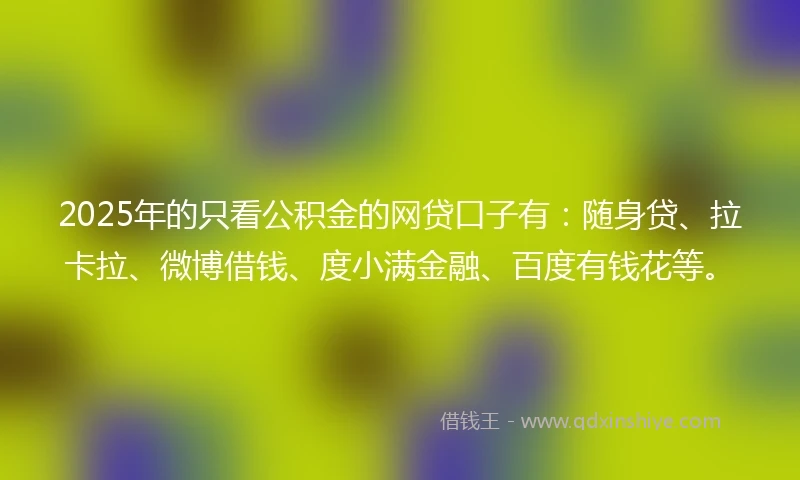 2025年的只看公积金的网贷口子有：随身贷、拉卡拉、微博借钱、度小满金融、百度有钱花等。