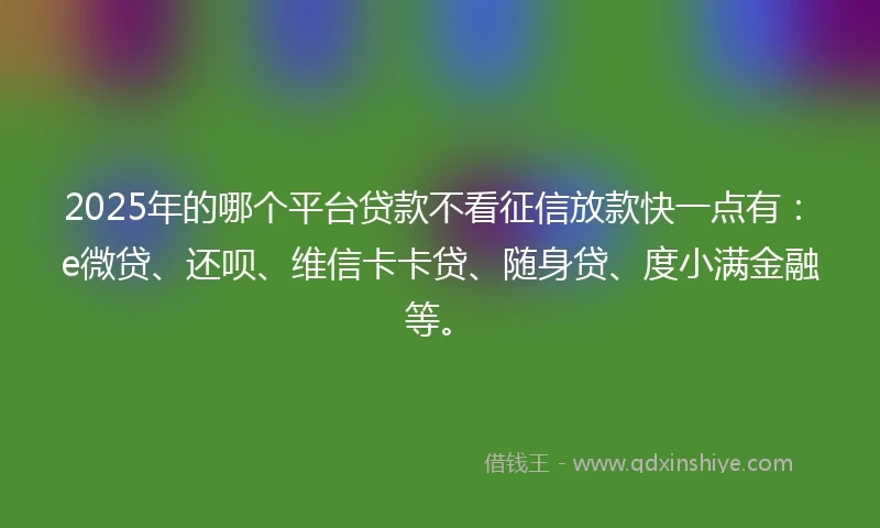 2025年的哪个平台贷款不看征信放款快一点有：e微贷、还呗、维信卡卡贷、随身贷、度小满金融等。
