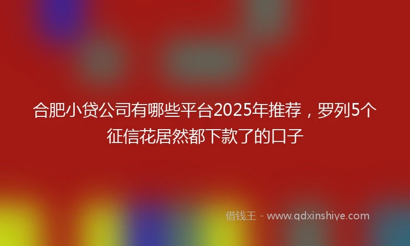 合肥小贷公司有哪些平台2025年推荐，罗列5个征信花居然都下款了的口子
