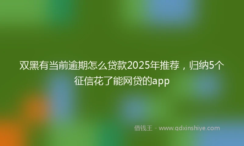 双黑有当前逾期怎么贷款2025年推荐，归纳5个征信花了能网贷的app