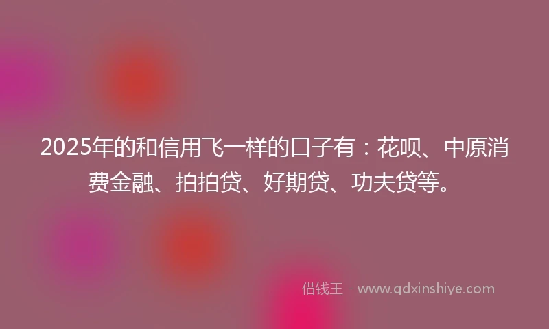 2025年的和信用飞一样的口子有：花呗、中原消费金融、拍拍贷、好期贷、功夫贷等。