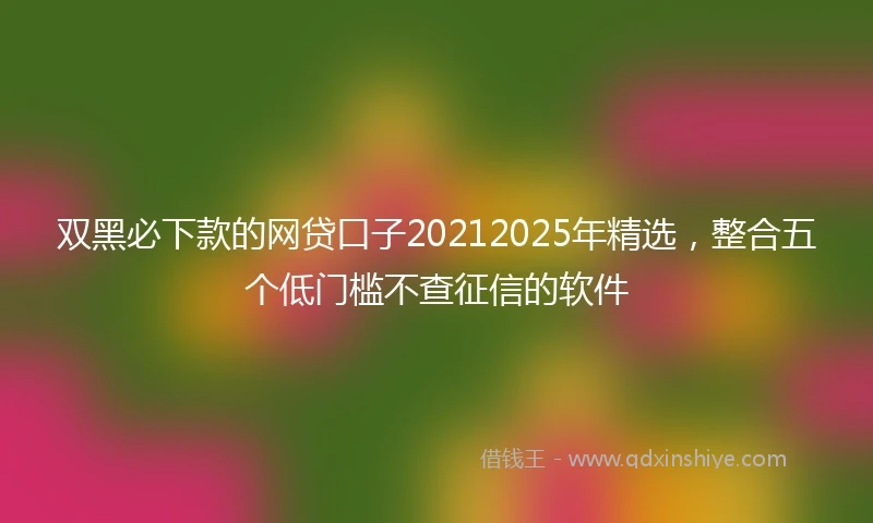 双黑必下款的网贷口子20212025年精选，整合五个低门槛不查征信的软件