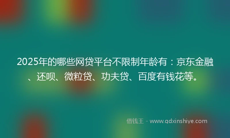 2025年的哪些网贷平台不限制年龄有：京东金融、还呗、微粒贷、功夫贷、百度有钱花等。