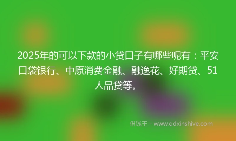 2025年的可以下款的小贷口子有哪些呢有：平安口袋银行、中原消费金融、融逸花、好期贷、51人品贷等。