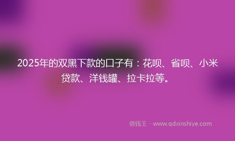 2025年的双黑下款的口子有:花呗、省呗、小米贷款、洋钱罐、拉卡拉等。