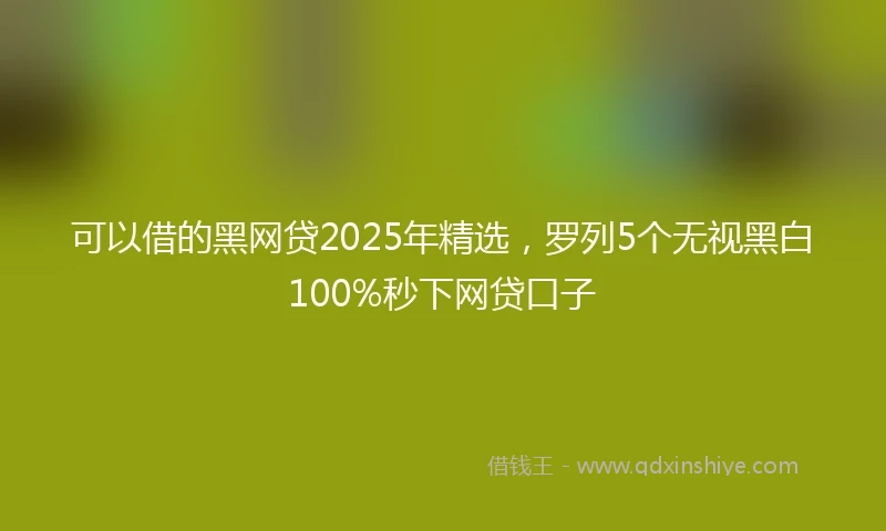 可以借的黑网贷2025年精选,罗列5个无视黑白100%秒下网贷口子
