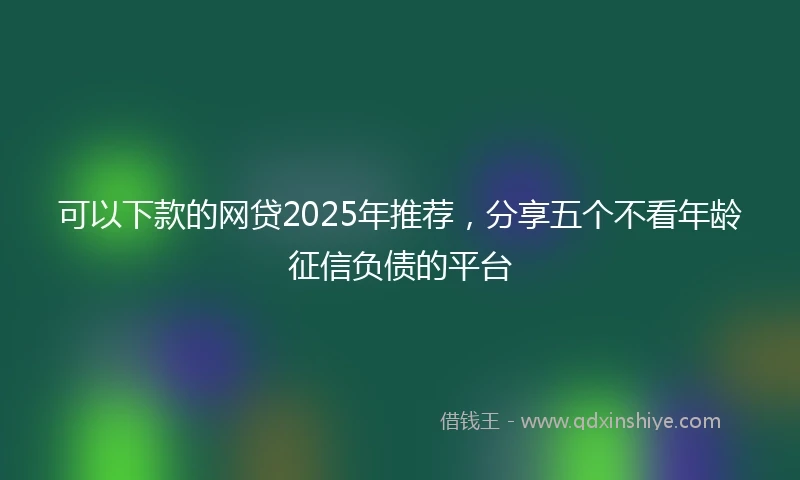 可以下款的网贷2025年推荐，分享五个不看年龄征信负债的平台