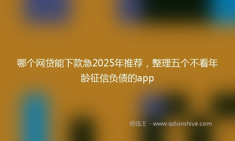哪个网贷能下款急2025年推荐，整理五个不看年龄征信负债的app