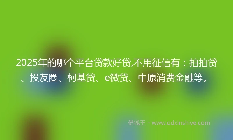 2025年的哪个平台贷款好贷,不用征信有：拍拍贷、投友圈、柯基贷、e微贷、中原消费金融等。