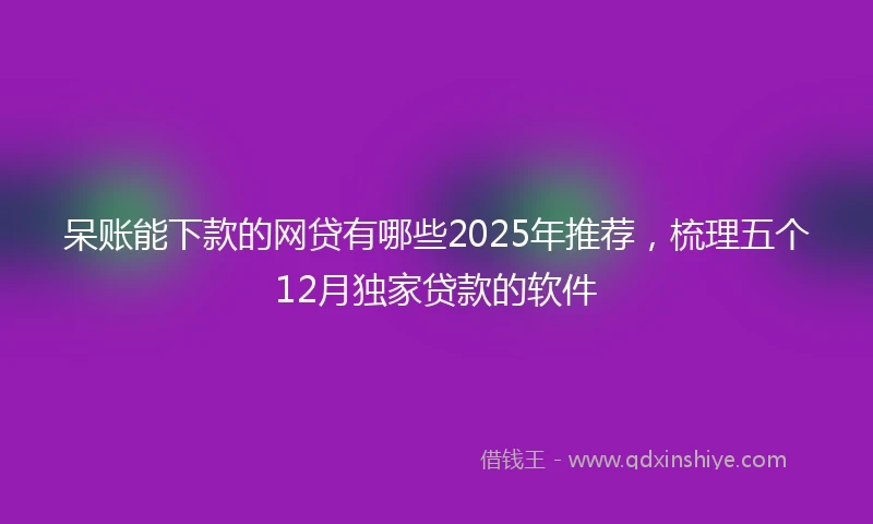 呆账能下款的网贷有哪些2025年推荐，梳理五个12月独家贷款的软件
