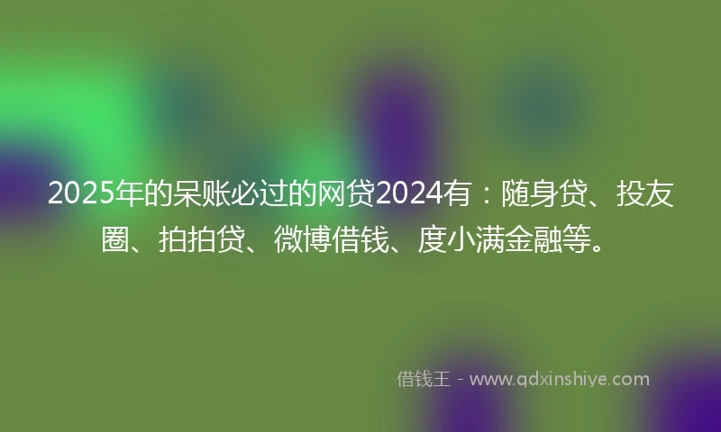 2025年的呆账必过的网贷2024有：随身贷、投友圈、拍拍贷、微博借钱、度小满金融等。