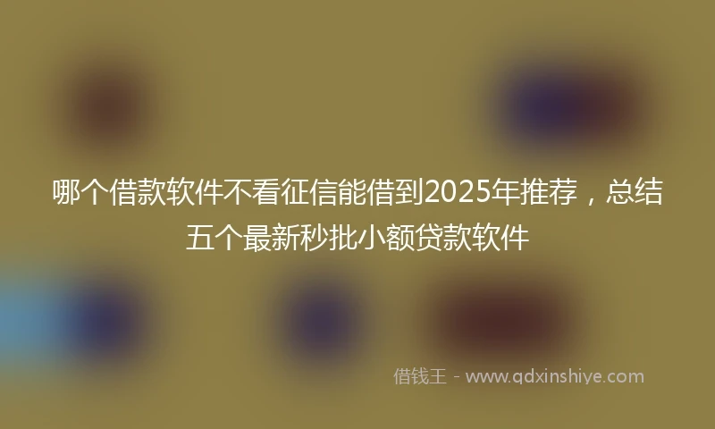哪个借款软件不看征信能借到2025年推荐，总结五个最新秒批小额贷款软件
