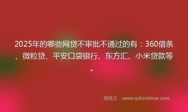 2025年的哪些网贷不审批不通过的有：360借条、微粒贷、平安口袋银行、东方汇、小米贷款等。
