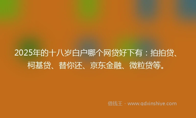 2025年的十八岁白户哪个网贷好下有：拍拍贷、柯基贷、替你还、京东金融、微粒贷等。