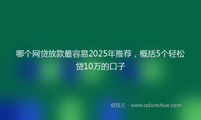哪个网贷放款最容易2025年推荐，概括5个轻松贷10万的口子
