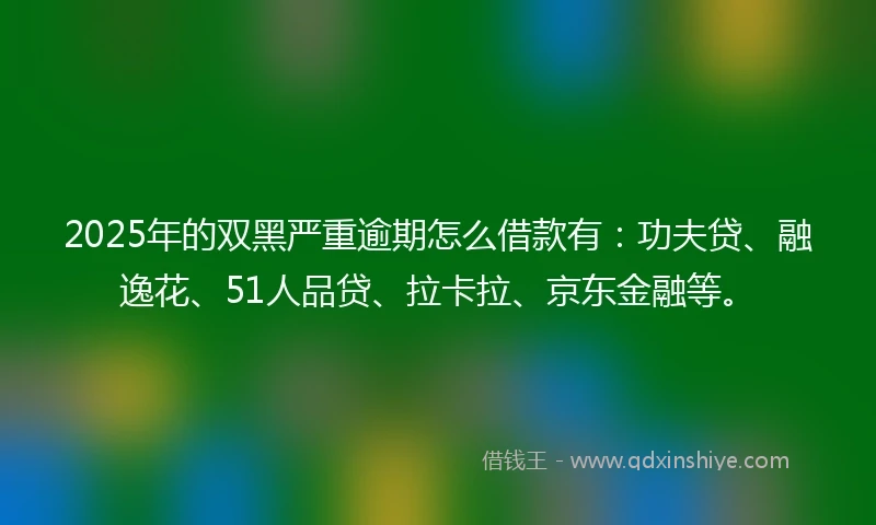 2025年的双黑严重逾期怎么借款有：功夫贷、融逸花、51人品贷、拉卡拉、京东金融等。