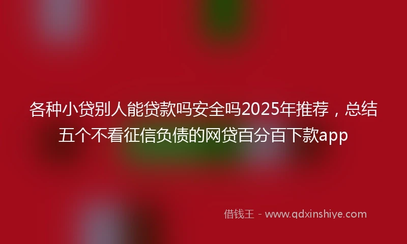 各种小贷别人能贷款吗安全吗2025年推荐，总结五个不看征信负债的网贷百分百下款app