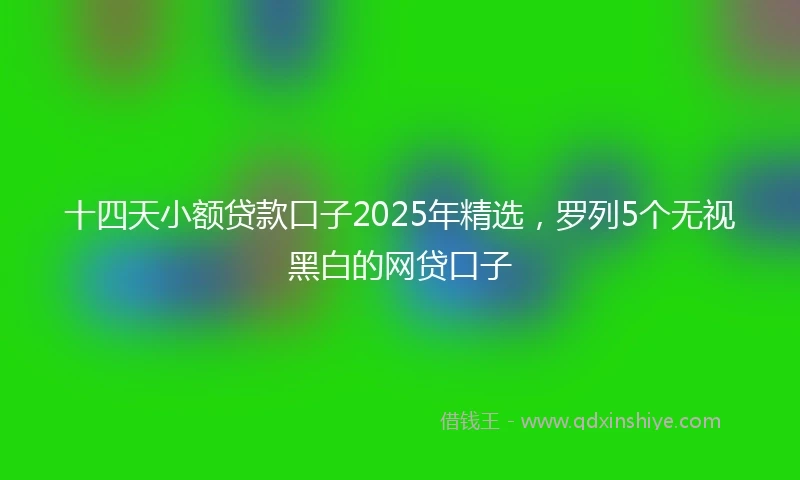 十四天小额贷款口子2025年精选，罗列5个无视黑白的网贷口子