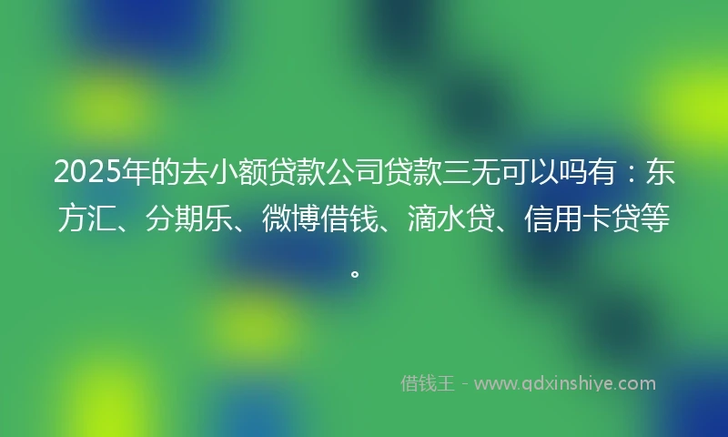 2025年的去小额贷款公司贷款三无可以吗有：东方汇、分期乐、微博借钱、滴水贷、信用卡贷等。