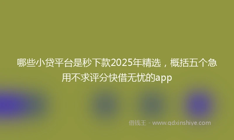 哪些小贷平台是秒下款2025年精选，概括五个急用不求评分快借无忧的app