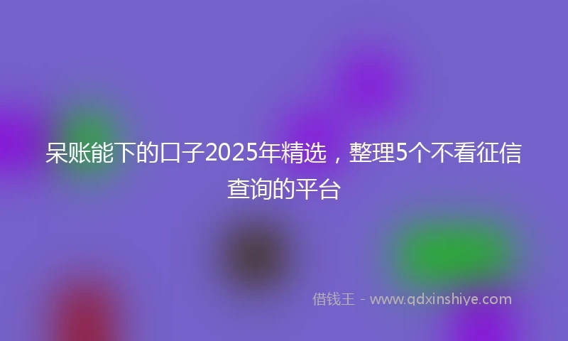 呆账能下的口子2025年精选，整理5个不看征信查询的平台