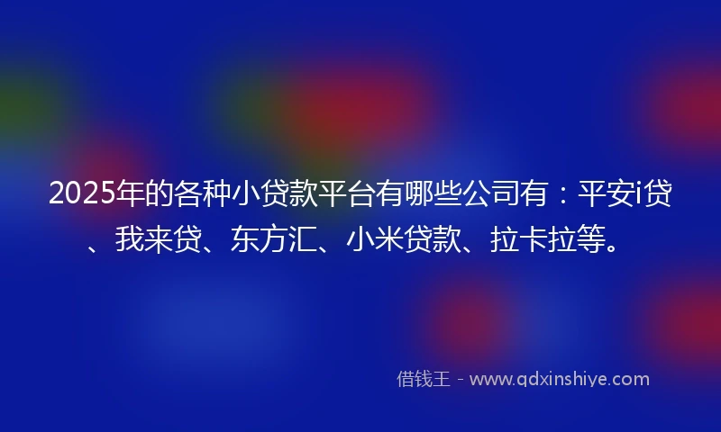 2025年的各种小贷款平台有哪些公司有:平安i贷、我来贷、东方汇、小米贷款、拉卡拉等。