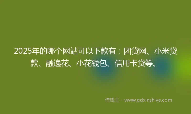 2025年的哪个网站可以下款有：团贷网、小米贷款、融逸花、小花钱包、信用卡贷等。