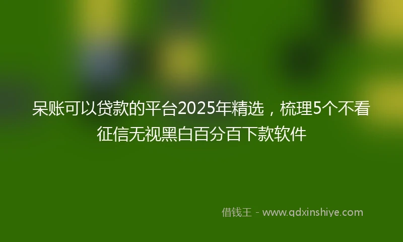 呆账可以贷款的平台2025年精选，梳理5个不看征信无视黑白百分百下款软件