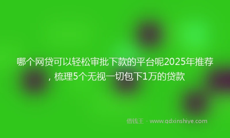 哪个网贷可以轻松审批下款的平台呢2025年推荐，梳理5个无视一切包下1万的贷款
