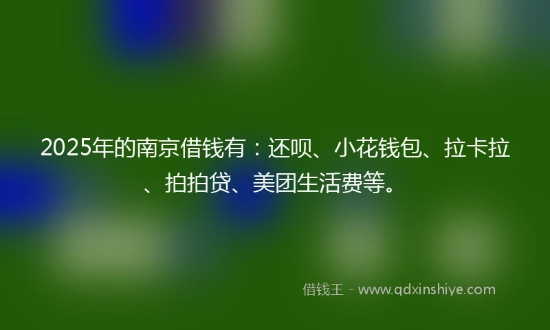 2025年的南京借钱有：还呗、小花钱包、拉卡拉、拍拍贷、美团生活费等。