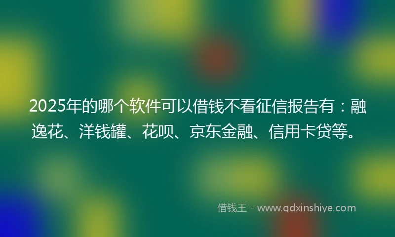 2025年的哪个软件可以借钱不看征信报告有：融逸花、洋钱罐、花呗、京东金融、信用卡贷等。
