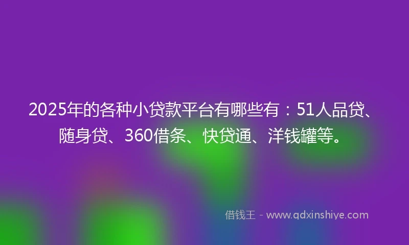 2025年的各种小贷款平台有哪些有：51人品贷、随身贷、360借条、快贷通、洋钱罐等。