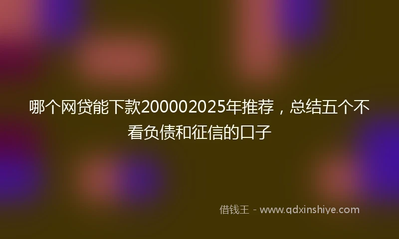 哪个网贷能下款200002025年推荐，总结五个不看负债和征信的口子
