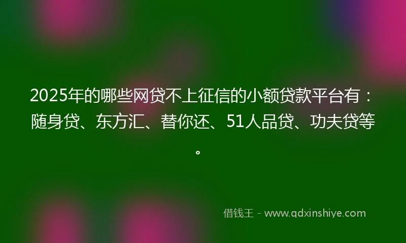 2025年的哪些网贷不上征信的小额贷款平台有：随身贷、东方汇、替你还、51人品贷、功夫贷等。