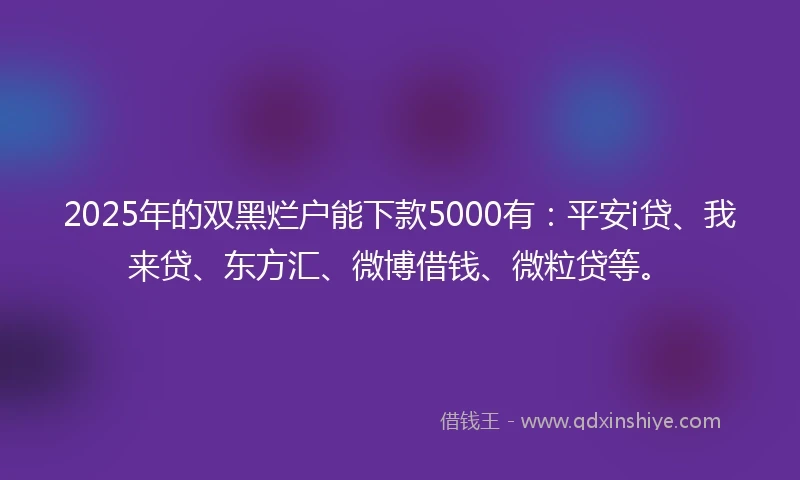 2025年的双黑烂户能下款5000有：平安i贷、我来贷、东方汇、微博借钱、微粒贷等。