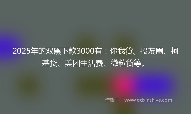 2025年的双黑下款3000有：你我贷、投友圈、柯基贷、美团生活费、微粒贷等。