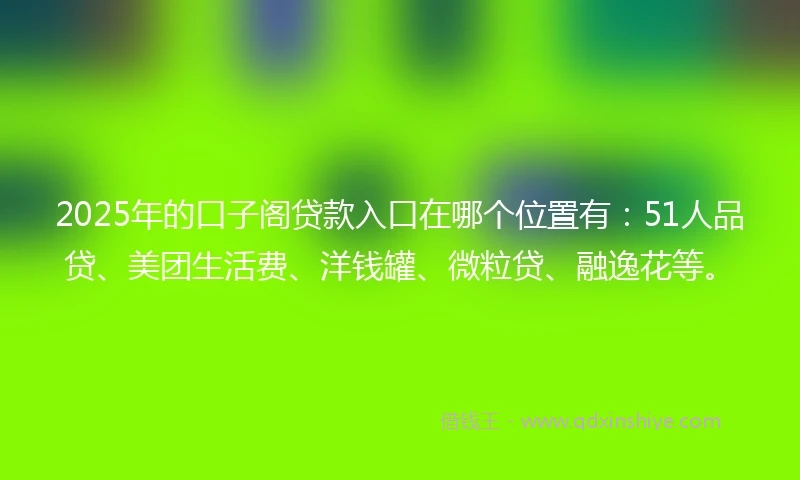 2025年的口子阁贷款入口在哪个位置有：51人品贷、美团生活费、洋钱罐、微粒贷、融逸花等。