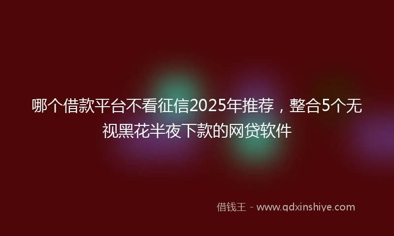 哪个借款平台不看征信2025年推荐，整合5个无视黑花半夜下款的网贷软件