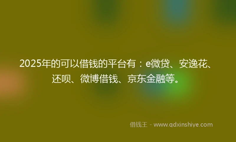 2025年的可以借钱的平台有：e微贷、安逸花、还呗、微博借钱、京东金融等。