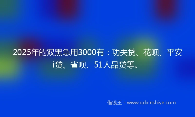2025年的双黑急用3000有：功夫贷、花呗、平安i贷、省呗、51人品贷等。