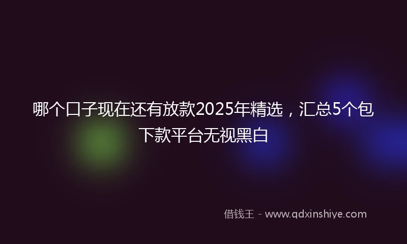 哪个口子现在还有放款2025年精选,汇总5个包下款平台无视黑白