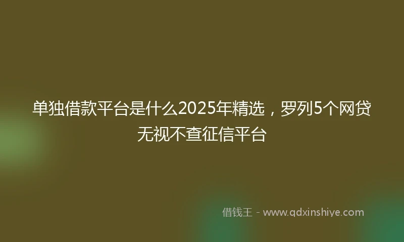 单独借款平台是什么2025年精选，罗列5个网贷无视不查征信平台