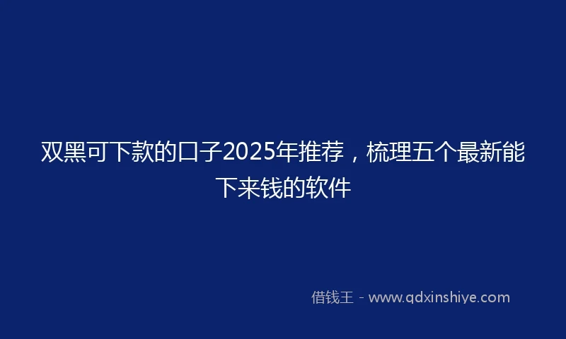 双黑可下款的口子2025年推荐，梳理五个最新能下来钱的软件